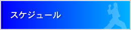 スケジュール